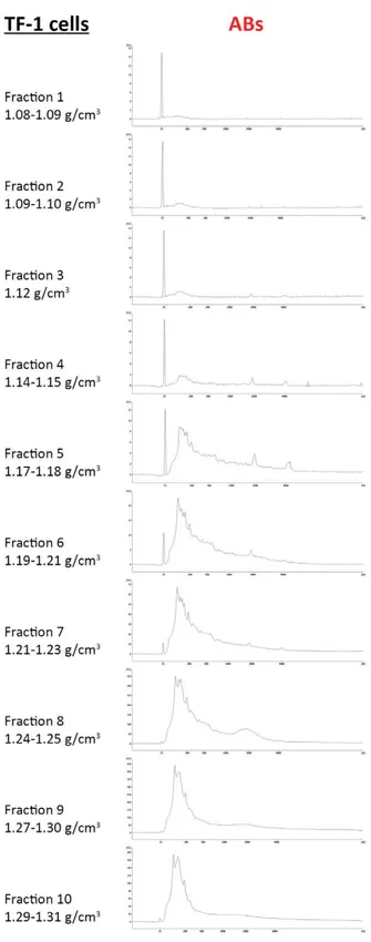 Fig.  12:  RNA  profiles  from  ten  fractions  obtained  after  loading  AB  pellet  on 