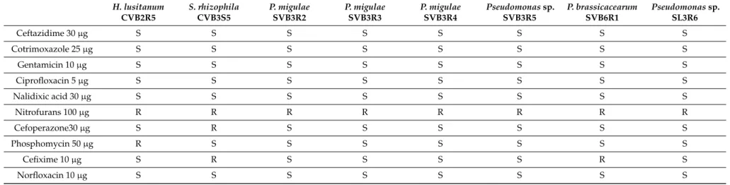 Table 2. Sensitivity (S) or resistance (R) of eight selected bacterial endophytes to different antibiotics
