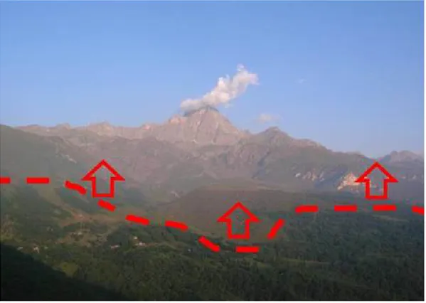 Figura 3.1: Rappresentazione della ‘linea degli alberi’ in alta Valle Po (Foto: S.  Fenoglio)