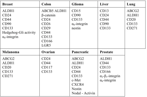 Table 2. List of molecular markers for CSC adapted from [62] . This list is not exhaustive and includes markers  not exhaustively tested