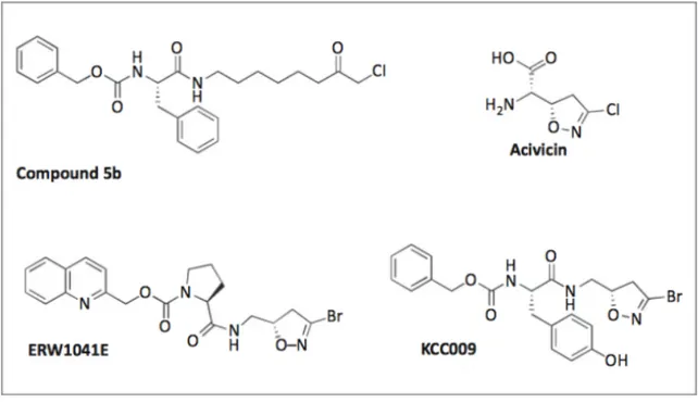 Figure   1.10.   Chloromethyl   ketone   based   inhibitor   Compound   5b,   dhydroisooxazole-based   inhibitor  KCC009, ERW1041E