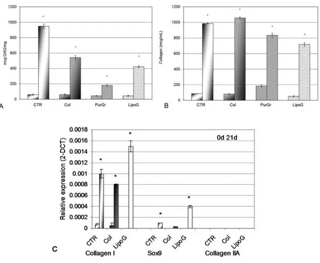 Figure  8 :  Biochemical  quantification  of GAG  expressed  as mg GAG  per mg  tissue (Figure  8A)  and  of  