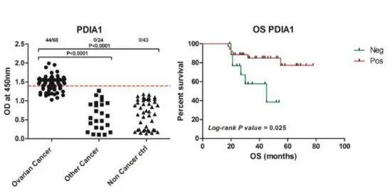 Fig. 12. ELISA assay and Overall patient Survival analysis. Affinity purified antibodies of ovarian cancer,  other  cancer  and  non-  cancerous  ascites  reactivity  to  recombinant  PDIA1in  ELISA  assay  (left  panel)
