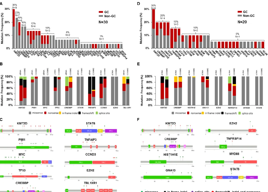 Figure 1. Prevalence and molecular spectrum of non-synonymous somatic mutations discovered in plasma cfDNA