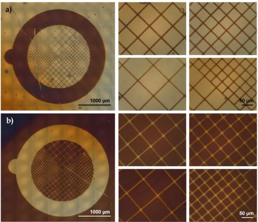 Figure 1.12 Optical microscopy images of a) positive and b) negative patterns of polymer 