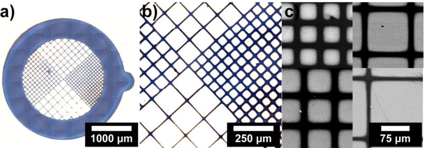 Figure 1.17 Patterning by remote photocatalytic lithography of initiators and subsequent SI-