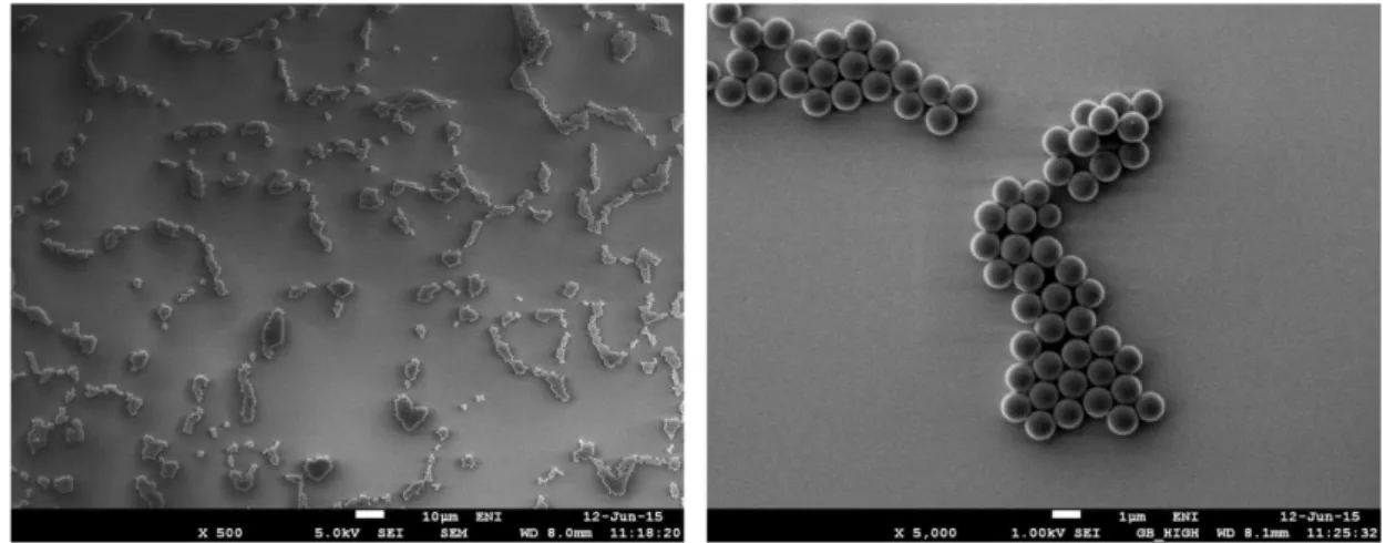Figure 1.19 Scanning electron microscopy images of the particle arrays generated on BIB-