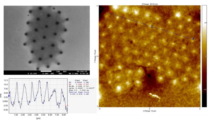 Figure  1.20  SEM  and  AFM  images  of  the  patterns  obtained  after  2.5 h  of  remote 