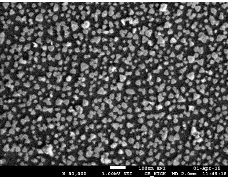 Figure 2.4 SEM image of silver nanoprisms self-assembled on APTES-functionalized 
