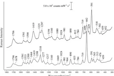 Figure 5. SERS spectra of yellow (bottom) and orange (top) fractions obtained upon separation of a purple extract on a C18 column