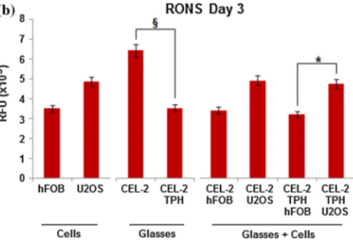 Figure 4 RONS evaluation after 24 (a) and 72 (b) h. The presence of coated biomolecules was effective in protecting safe hFOB cells form inﬂammation after 24 and 72 h in comparison with tumorigenic U2OS cells where inﬂammation due to RONS