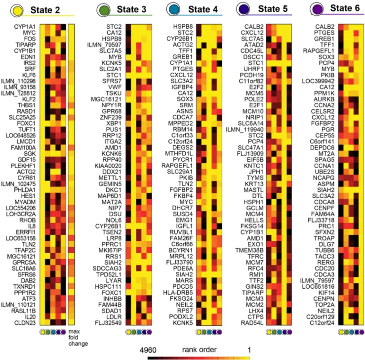 Figure 6. Marker genes in the MCF-7 system. In each state of a six-state model, genes are ranked by their state-expression fold change with respect to the first state