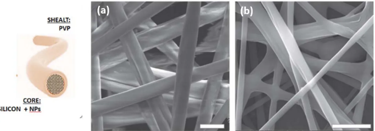 Figure 2. PDMS (Polydimethylsiloxane)/PVP core–shell fibers: SEM images of fibers (a) before and (b) after treatment in aqueous solution to remove the PVP shell (Scale bar 10 µm)