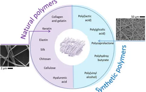 Figure 4. Synthetic and natural polymers used for the fabrication of electrospun fibers. On the left,  Keratin  nanofibers  with sub micrometric  diameters  (reproduced  by  Cruz‐Maya  et  al.  [53]).  On  the  right,  poly‐ε‐caprolactone  (PCL)  microfibe