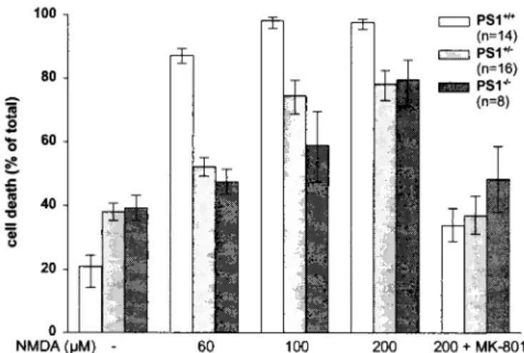 Fig. 4. NMDA-induced neurotoxicity in primary cortical neurons from