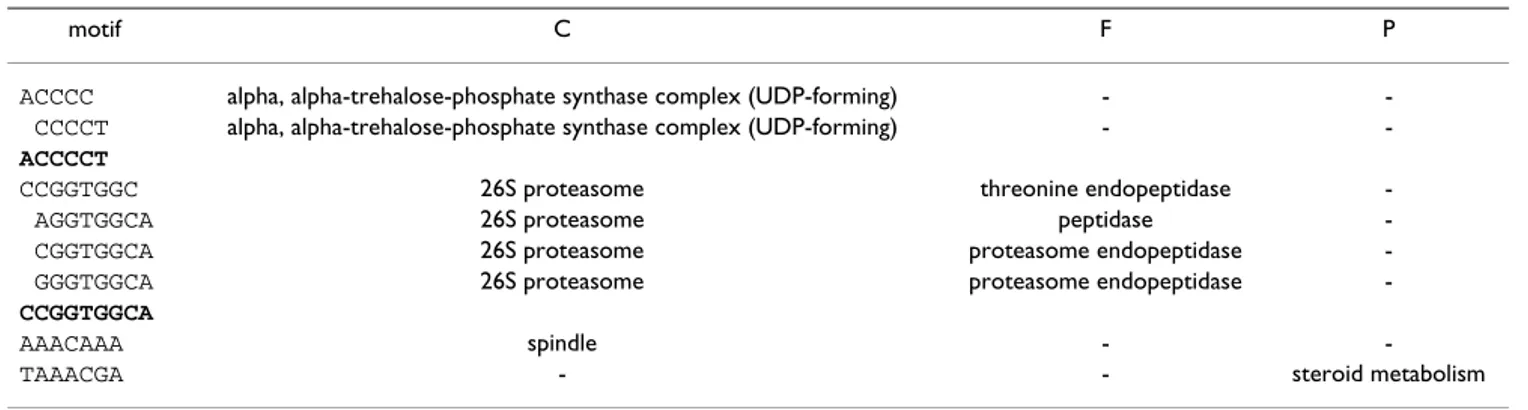 Table 5: Motifs associated to siderophore transport and tricarboxylic acid cycle.