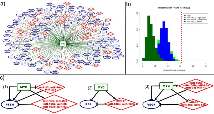 Figure 2. Properties of the mixed FFLs. a) Graphical representation of the network obtained combining together all the MYC-centred mixed FFLs