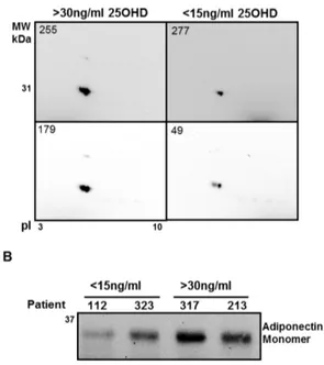 Figure 2. WIB of proteomic analyses and plasma samples confirms that total adiponectin is decreased in VD deficient pediatric obese subjects (VDD) when compared to pediatric obese with normal VD levels (NVD)