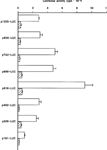 Fig. 3. Deletion analysis of the murine Y 1 receptor gene promoter. The