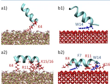 Figure 2b shows the free energy pro ﬁles for pAntp−MAG (black curve, Figure 2b) and pAntp −hMAG (red curve, Figure 2b) adsorption as a function of pAntp −surface distance