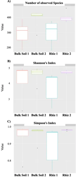 Figure 2.  Alpha diversity evaluation: (A) Number of bacterial species detected in bulk soil and rhizosphere  of V