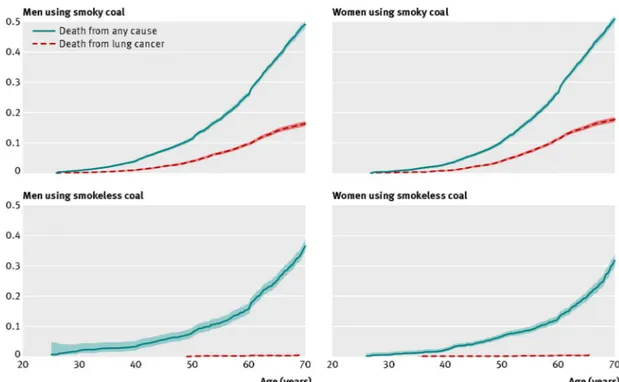 Fig 1 Unadjusted survival analysis in Xuanwei cohort 1976-96: cumulative risk (95% CI) of death from any cause and of death from lung cancer by age, stratified by type of coal used in household stoves and sex
