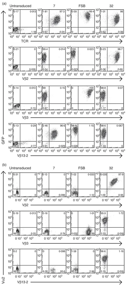 Fig. 1. Lentiviral transduction of T cell receptor