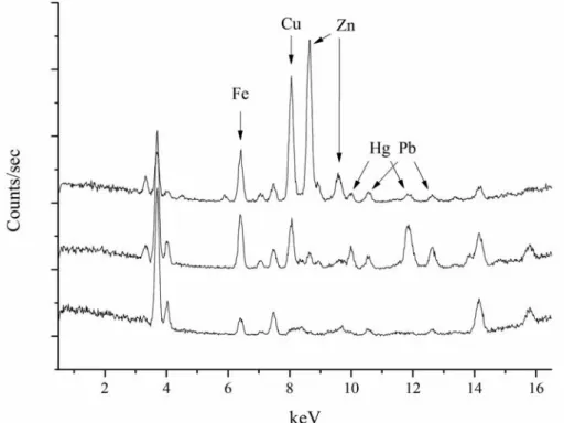 Fig. 9. Spettri XRF di inchiostri ricchi in Zn (spettro in alto) e in Fe (spettro in mezzo) e della pergamena (spettro in basso).