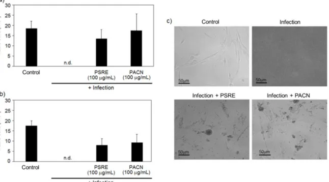 Figure 2. The effect of Pelargonium sidoides root extract (PSRE) and proanthocyanidins from PSRE  (PACN) on human gingival fibroblast viability in co-culture “race for the surface” assay
