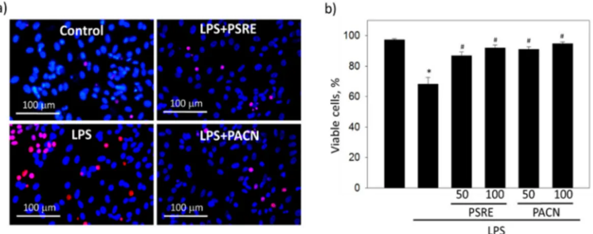 Figure 3. The effect of Pelargonium sidoides root extract (PSRE) and proanthocyanidins from PSRE  (PACN) on the viability of gingival fibroblasts affected by bacterial lipopolysaccharide (LPS)