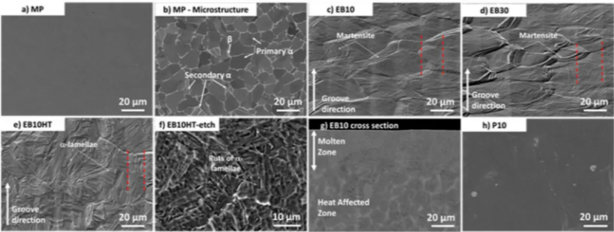 Figure 1. FESEM images of the samples: (a) MP sample (Secondary Electron (SE) image); (b) MP sample (BSE image); (c) EB 10 sample (SE image); (d) EB 30 sample (SE image); (e) EB10HT sample (SE image); (f) EB10HT-etch sample (SE image); (g) cross section of