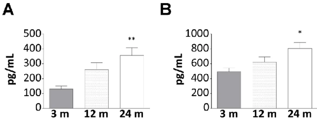 Figure 1. Increase of AG and UnAG plasmatic levels during aging in WT mice.  Plasmatic levels of AG (A) and UnAG (B) in 3-, 12-, and  24-month-old mice determined by EIA; 3-month-old mice: N = 5, 12-month-old mice N = 8, 24-month-old mice N = 6