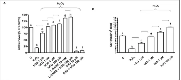 Fig. 1. Effects of hCG on cell survival (A) and glutathione (GSH; B) in HUVEC in peroxidative condition