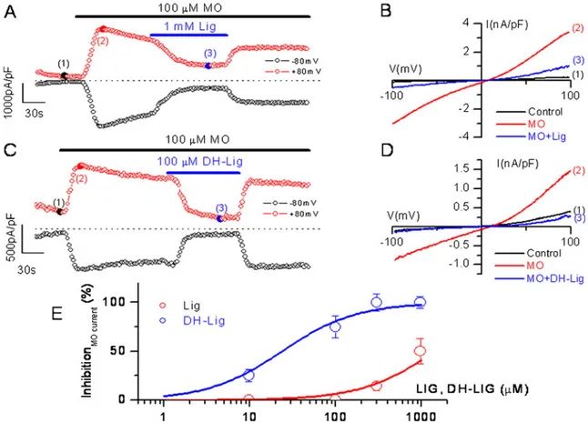 Fig. 3 Differential block effects of ligustilide and dehydroligustilide on whole cell currents through TRPA1