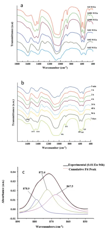 Fig. 3 FTIR spectrum for the sample precipitated in the presence of Eu 3+