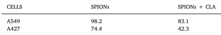 Fig. 3. PPAR γ protein content in mouse breast cancer 4T1 cells untreated or treated with SPIONs functionalized or not with CLA.