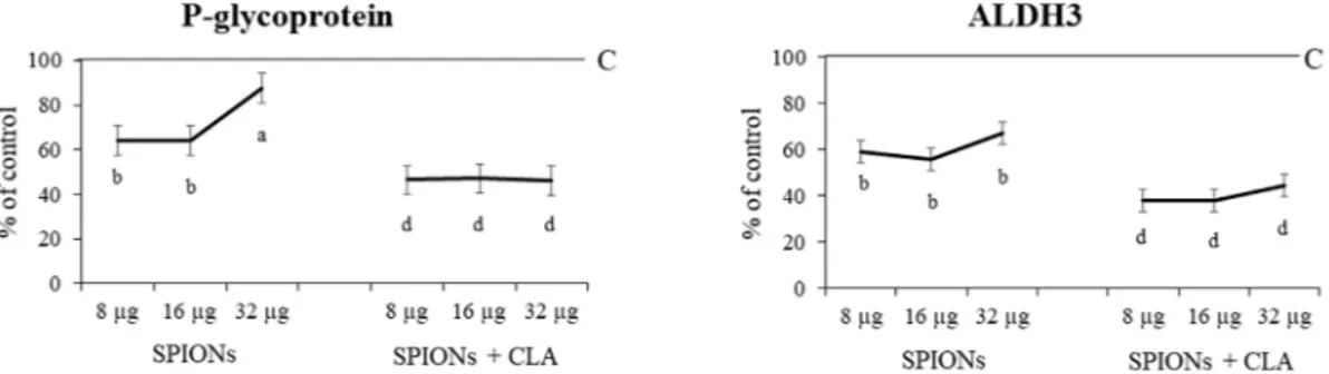 Fig. 5. P-glycoprotein and ALDH3A1. mRNA content evaluated after 72 h in mouse breast cancer 4T1 cells untreated or treated with SPIONs functionalized or not with CLA.