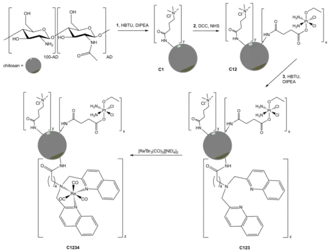 Table 1. ζ-potential and dynamic light scattering (DLS) diameter for chitosan derivatives