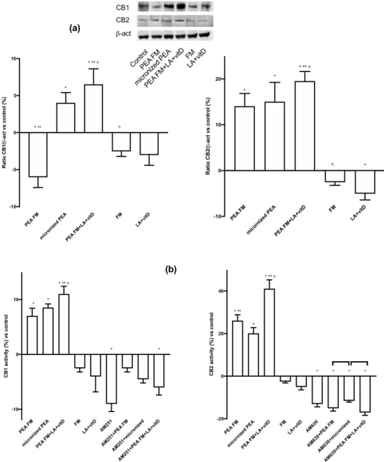 Figure 5. Western blot, densitometric analysis and activity of CBs receptors. In (a) western blot and