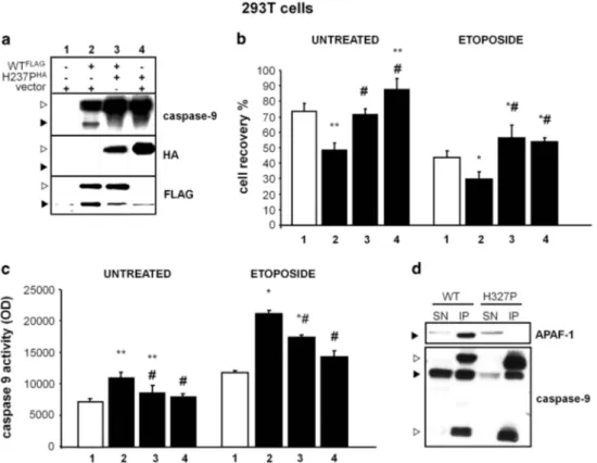 Figure 6. CASP9 H237P impairs the apoptotic response and caspase-9 activation in 293T-transfected cells
