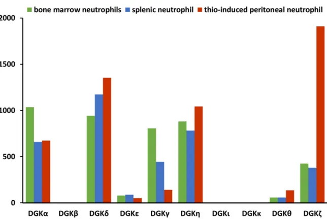 Figure 2. Variations in DGK family expressions in human neutrophils. Data from the immunological 