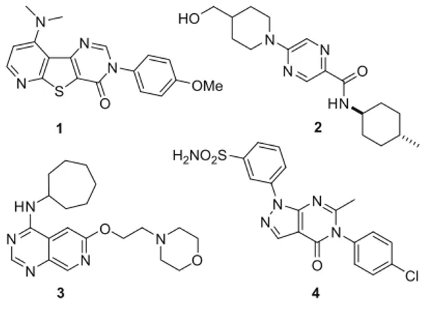 Figure 1. Representative mGluR1 antagonists.