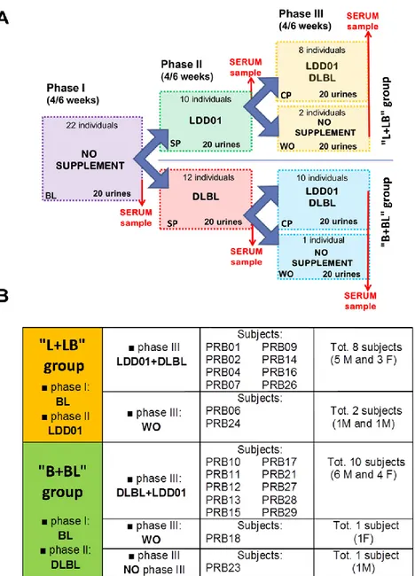 Figure 1. Experimental scheme. (A) Experimental scheme of the three phases of the project