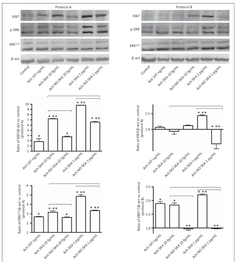 Fig. 4.   Western blot and densitometric analysis of ERK/MAPK and 