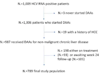 Figure 1. Flow chart of the study. HCV: chronic hepatitis C virus; DAA: direct antiviral agents; HCC: hepatocellular carcinoma