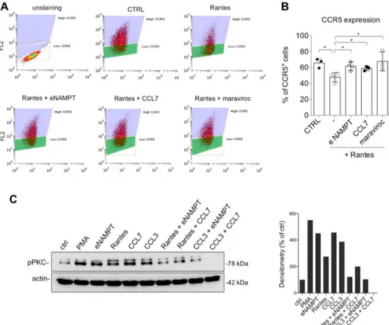 Figure 3. eNAMPT reduces CCR5 internalization and prevents pPKC activation. (A) Representative flow cytometry analysis of CCR5 expression in HeLa-CCR5 cells after the indicated stimuli