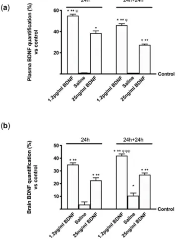 Figure 8. BDNF quantification in mice in serum and brain tissue. (a) Serum quantification and (b) 