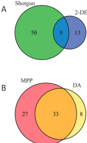 Fig. 5 Euler–Venn diagrams. Panel A: distribution of proteins observed to