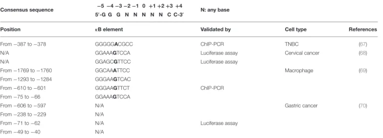 TABLE 1 | Predicted binding sites for NF-κB on the PD-L1 gene promoter.