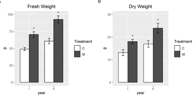 Figure 1. Average fresh (A) and dry weight (B) of aerial parts of P. vittata plants, inoculated (M) or  not (C) with a mixture of arbuscular mycorrhizal fungi (AMF), in the pot experiment